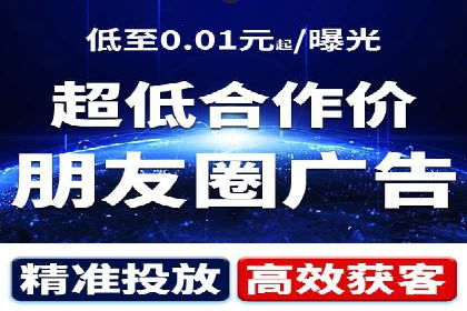 百度竞价广告投放全解析：成功案例揭秘